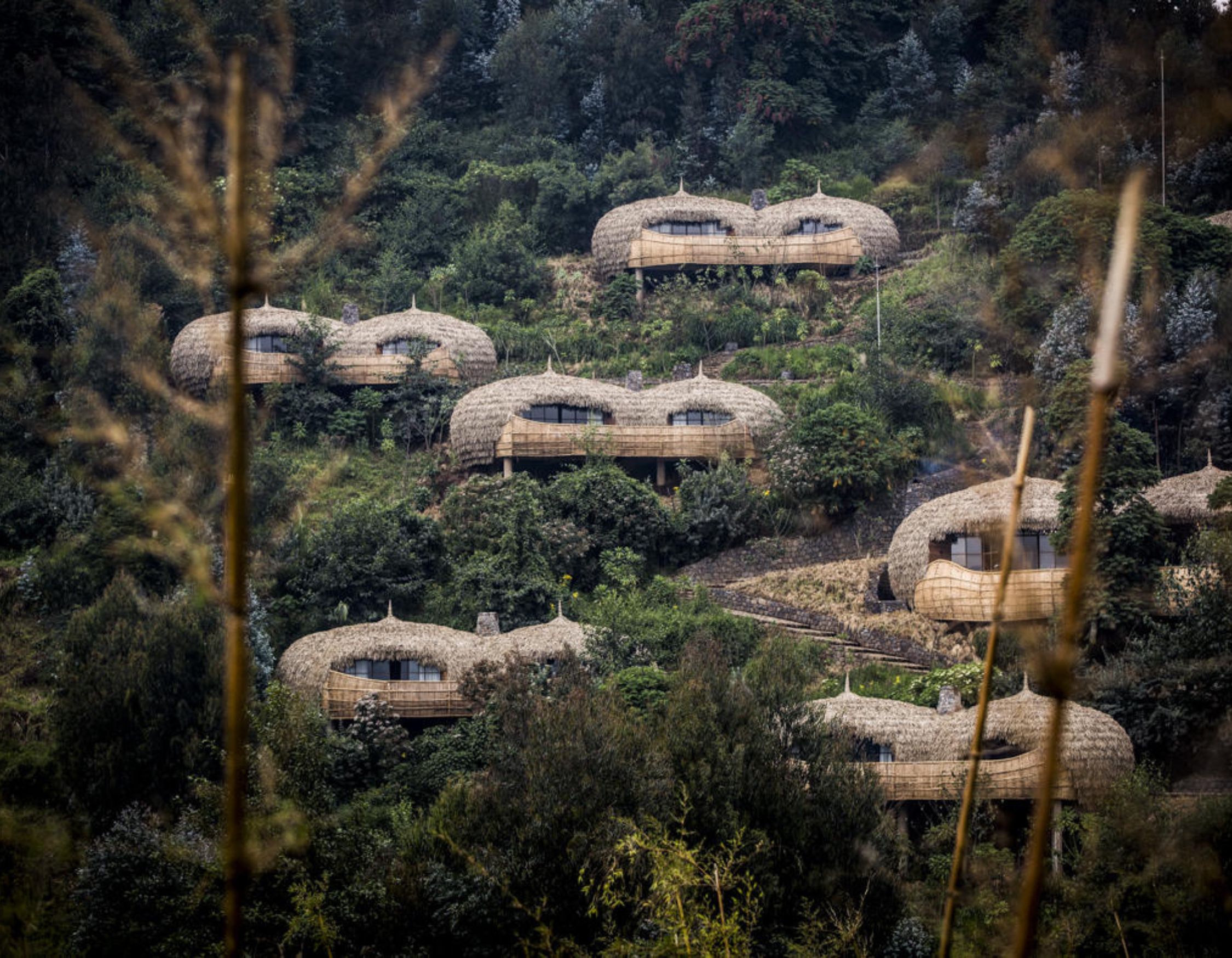 xr:d:DAF2TncvlLY:543,j:8536994540511693449,t:24031213 Bisate Lodge in Rwanda